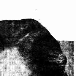 Image Tile