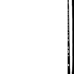 Image Tile