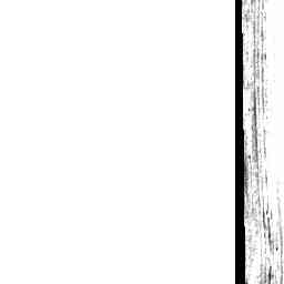 Image Tile