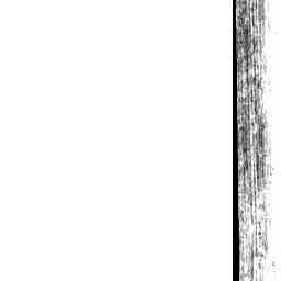 Image Tile