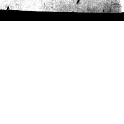 Image Tile