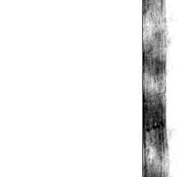 Image Tile