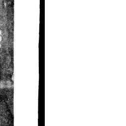 Image Tile