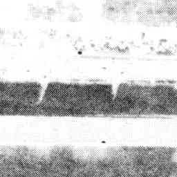 Image Tile