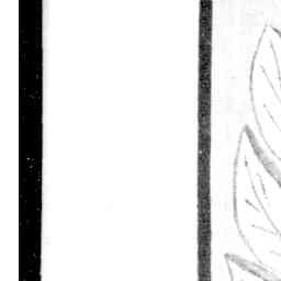 Image Tile