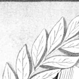 Image Tile