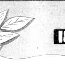 Image Tile