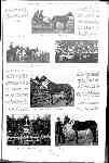 Page overview thumbnail