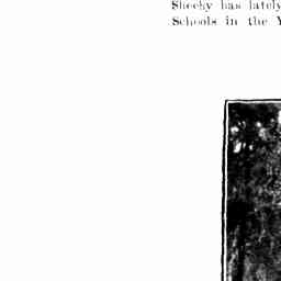 Image Tile