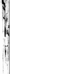 Image Tile