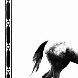 Image Tile