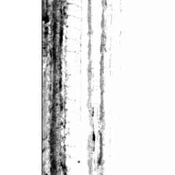 Image Tile