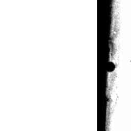 Image Tile