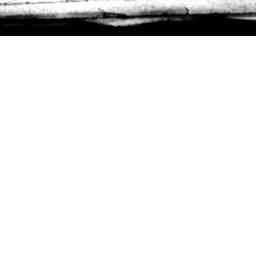 Image Tile