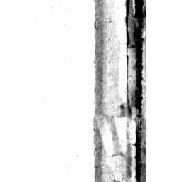 Image Tile