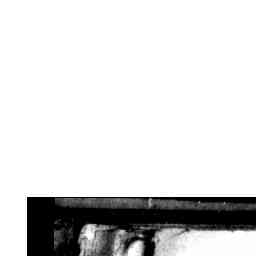 Image Tile