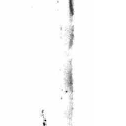 Image Tile
