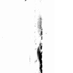 Image Tile