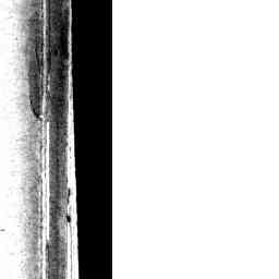 Image Tile