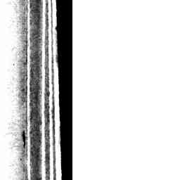 Image Tile