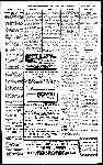 Page overview thumbnail