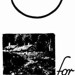 Image Tile