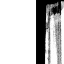 Image Tile