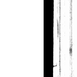 Image Tile