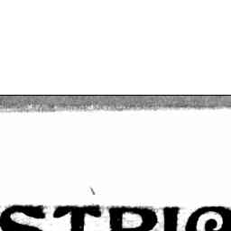 Image Tile