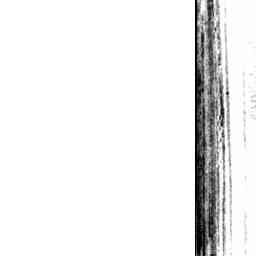 Image Tile