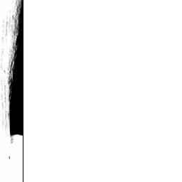 Image Tile