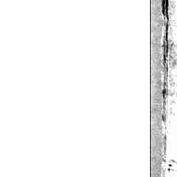 Image Tile