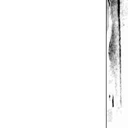 Image Tile