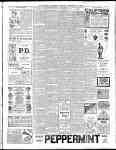 Page overview thumbnail