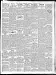 Page overview thumbnail