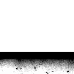 Image Tile