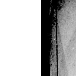 Image Tile