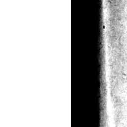 Image Tile