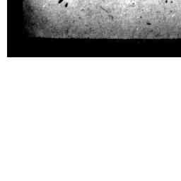 Image Tile