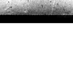Image Tile
