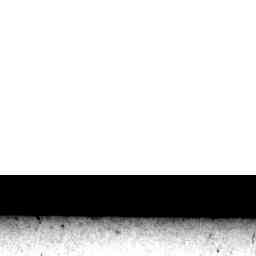 Image Tile