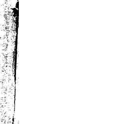 Image Tile