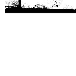 Image Tile