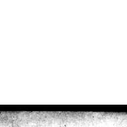 Image Tile