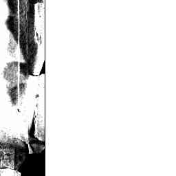 Image Tile