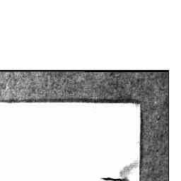 Image Tile