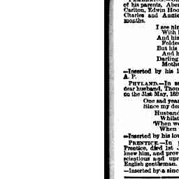 02 Jun 1890 - Advertising - Trove
