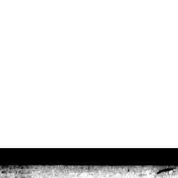 Image Tile