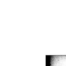 Image Tile