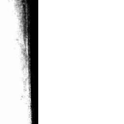 Image Tile